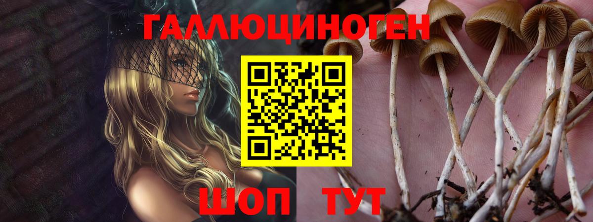 Галлюциногенные грибы ЛСД  Вход с VPN  Псилоцибиновые грибы прущие грибы  Великий Новгород 
